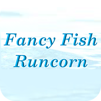 fancy-fish